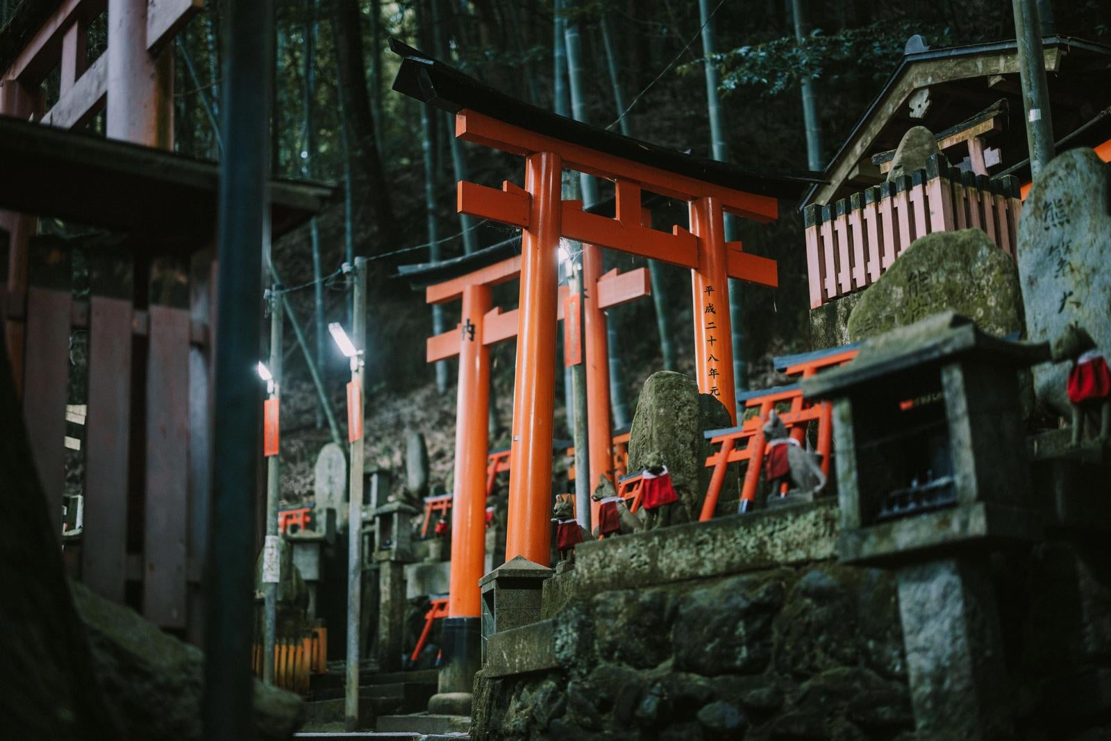 「朱色の鳥居道」の写真