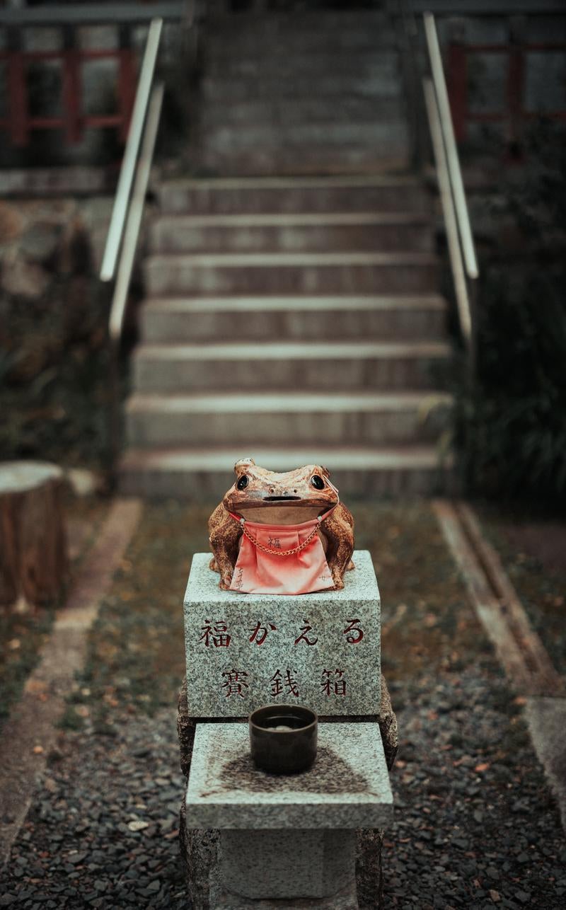 「末廣大神の福かえる賽銭箱」の写真