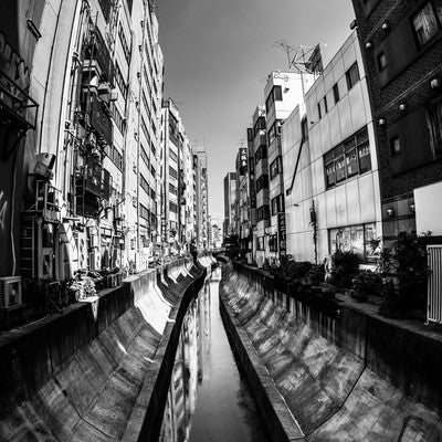 渋谷川（モノクロ）の写真