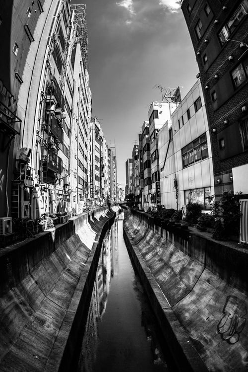 渋谷川（モノクロ）の写真