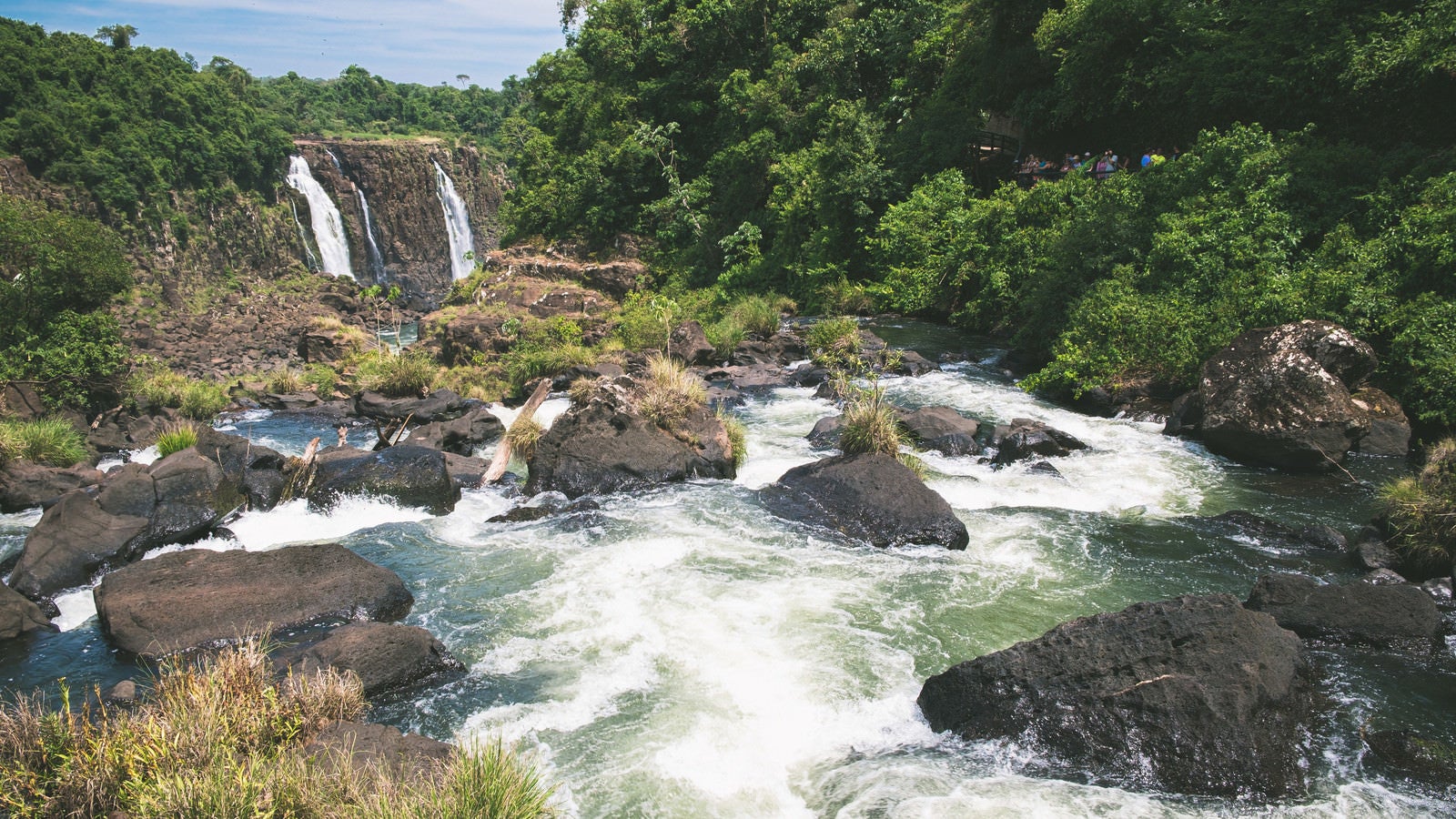 「イグアスの滝から流れる豊富な水量の川（南米大陸）」の写真