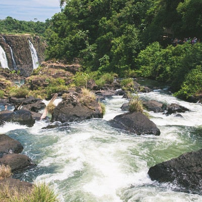 イグアスの滝から流れる豊富な水量の川（南米大陸）の写真