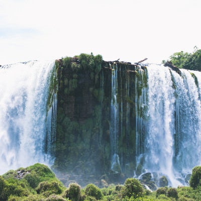 豊富な水量が勢いよく流れ落ちるイグアスの滝の写真