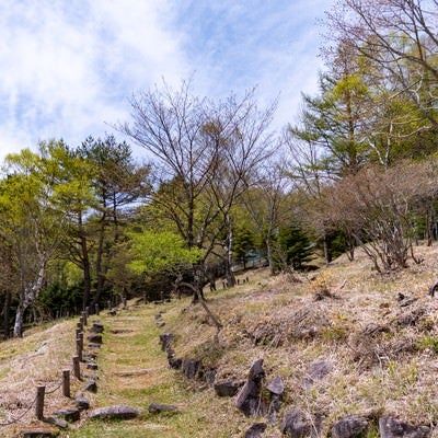 上り坂の散策コースの写真