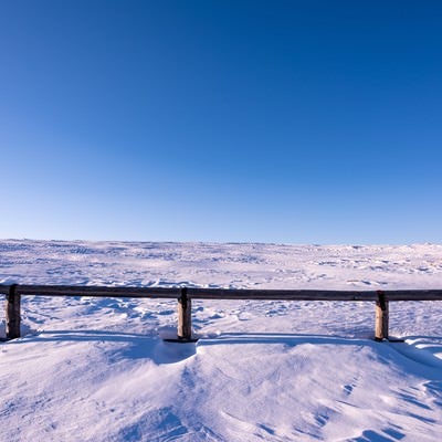雲一つない青空と雪原の写真