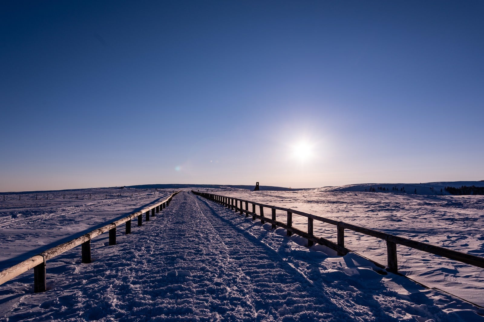 「どこまでも続く雪原の道」の写真