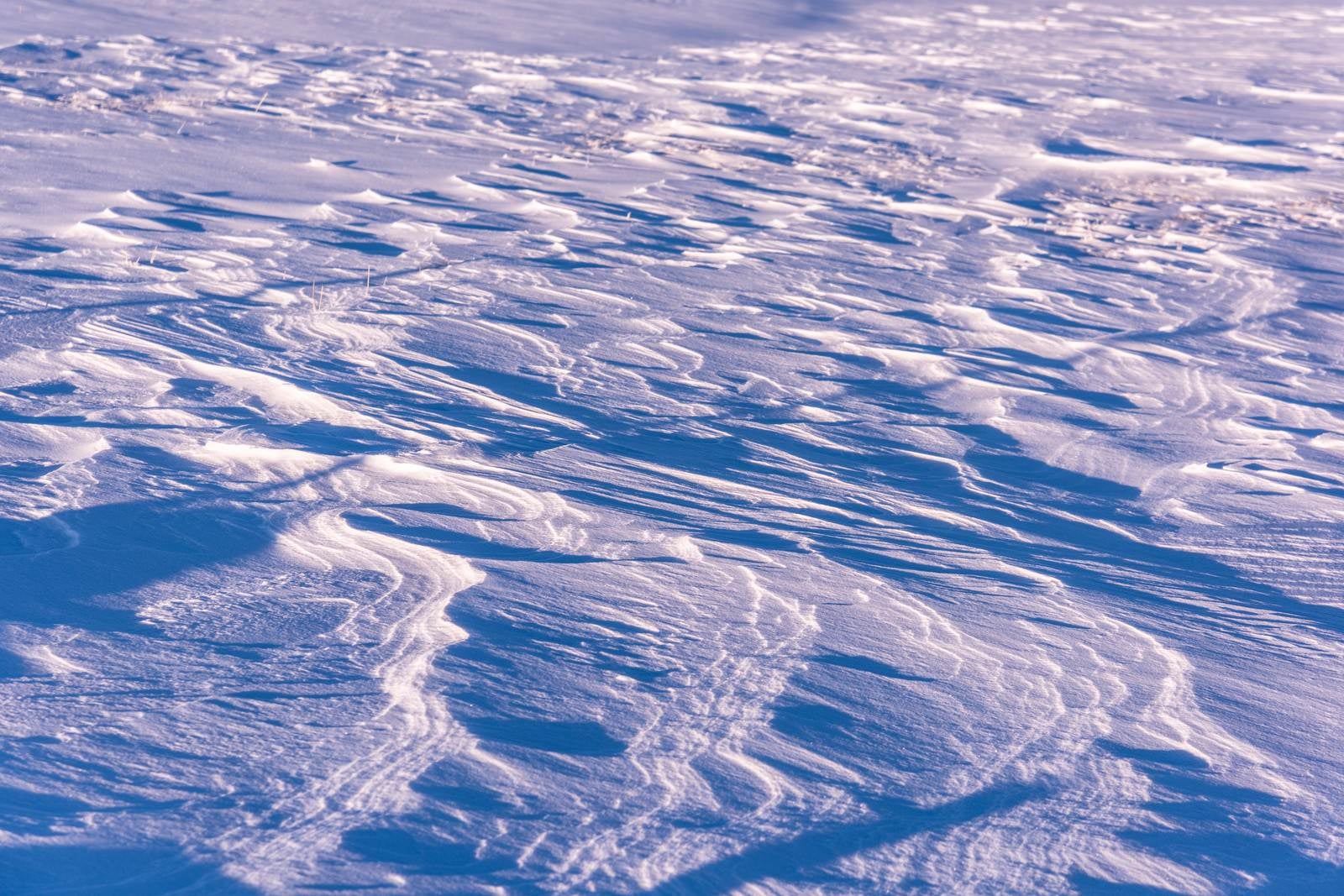 「雪原に残る風紋」の写真