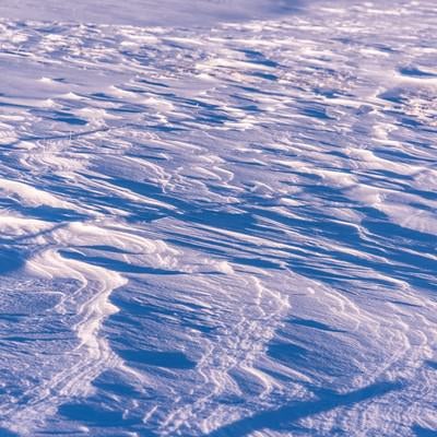 雪原に残る風紋の写真