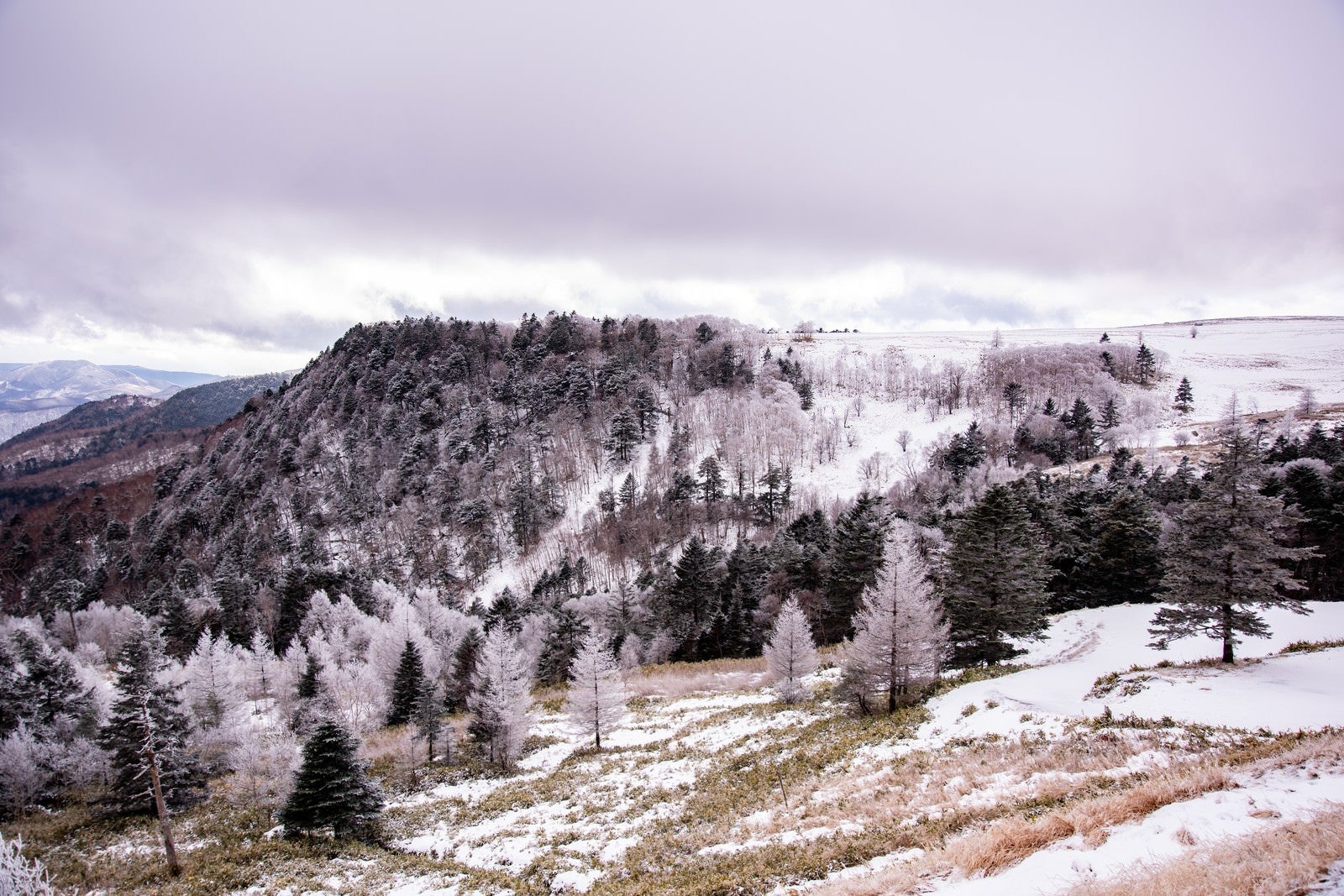 「雪化粧の美ヶ原」の写真