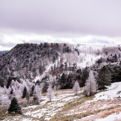 雪化粧の美ヶ原の写真