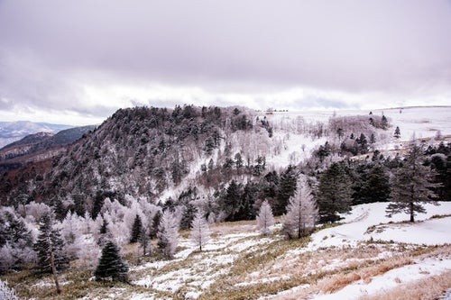 雪化粧の美ヶ原の写真