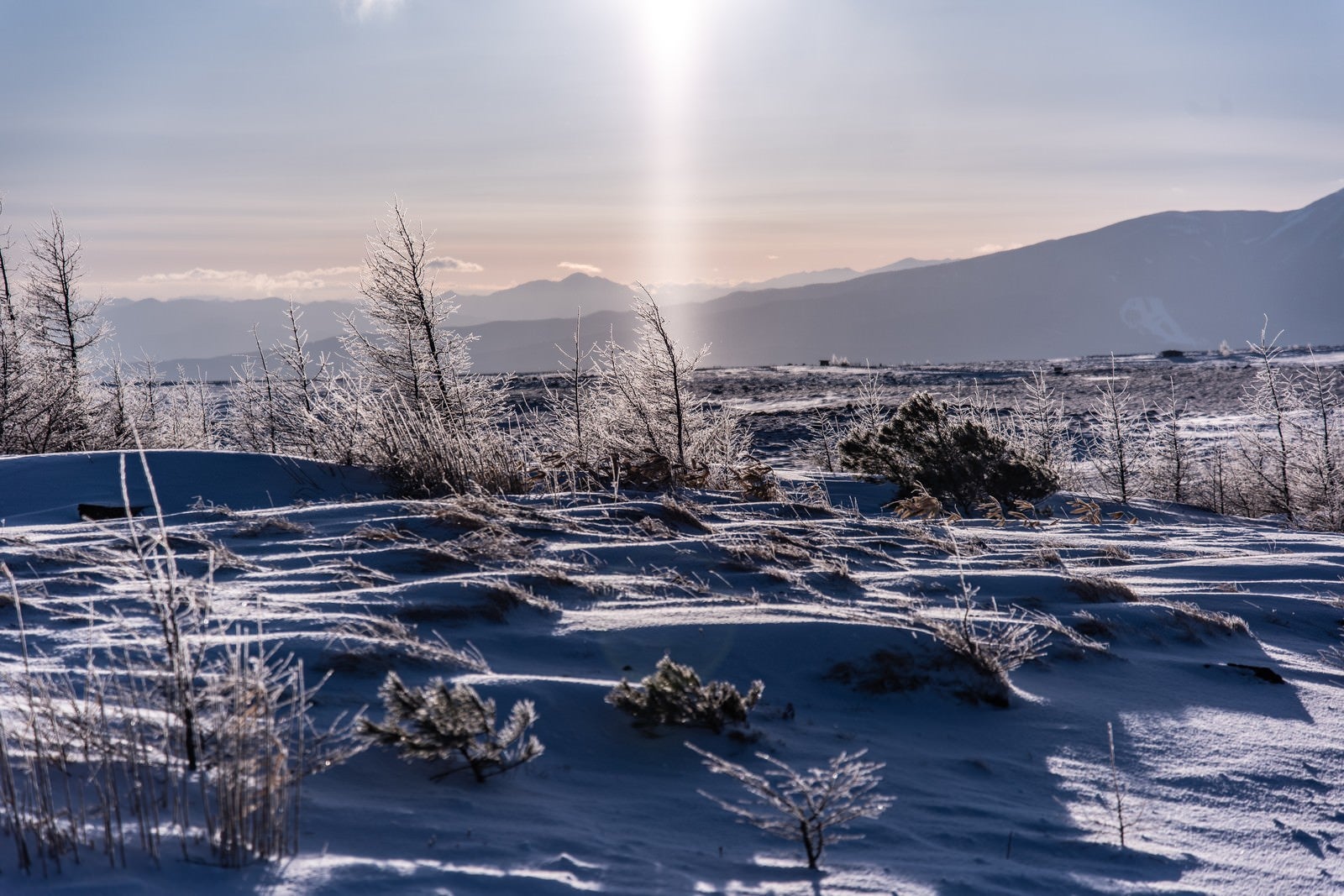 「美ヶ原高原の樹氷に降り注ぐサンピラー（太陽柱）」の写真