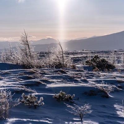 美ヶ原高原の樹氷に降り注ぐサンピラー（太陽柱）の写真