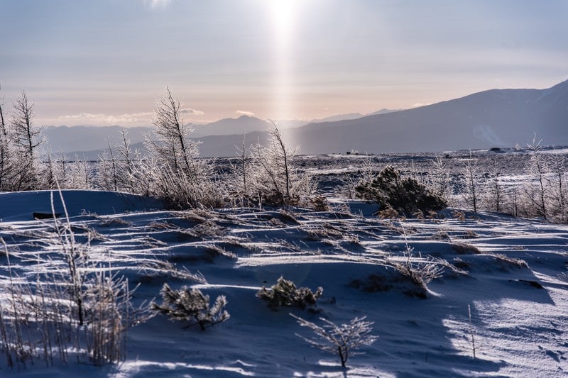 美ヶ原高原の樹氷に降り注ぐサンピラー（太陽柱）の写真