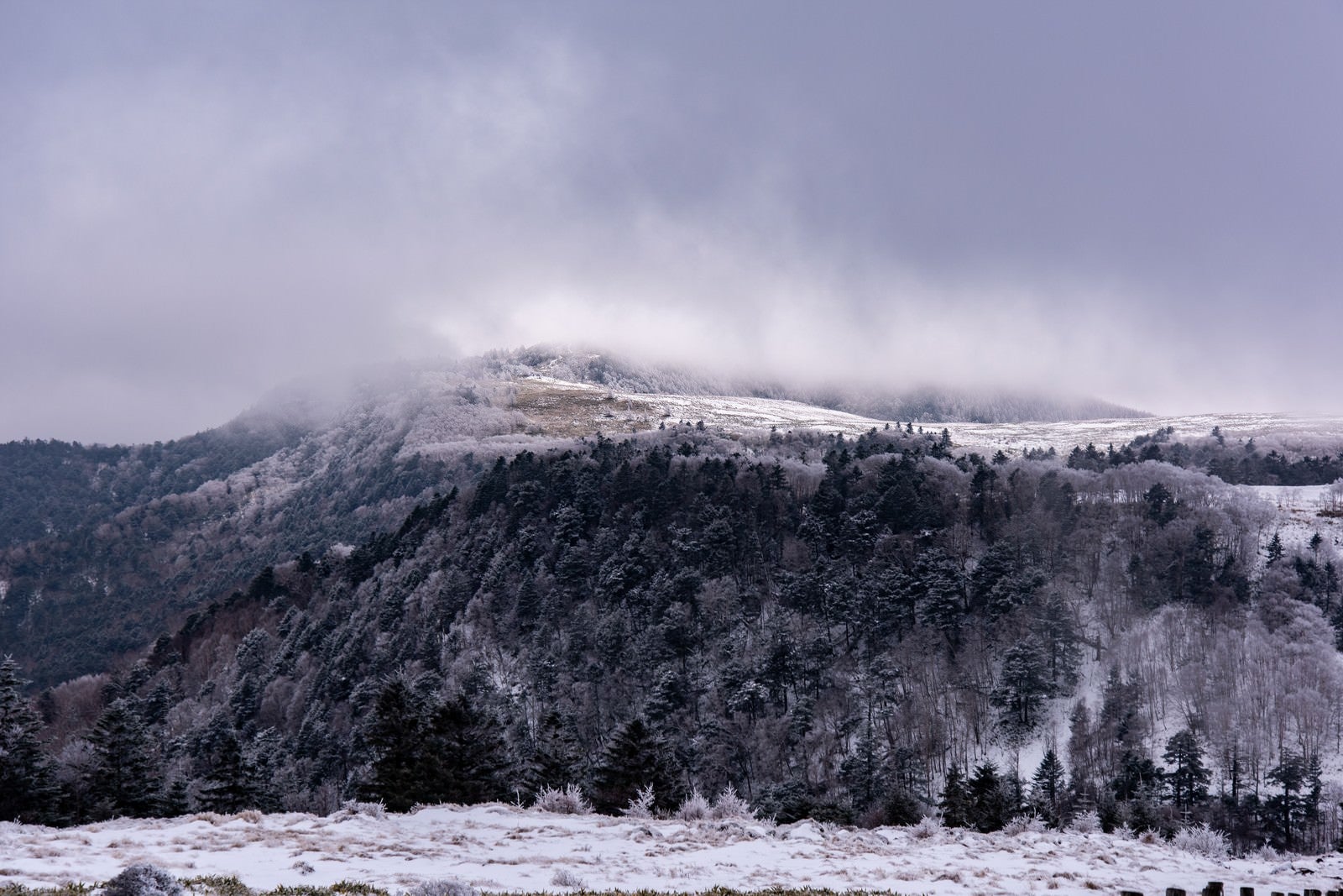 「雪が積もった美ヶ原高原」の写真