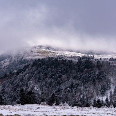 雪が積もった美ヶ原高原の写真