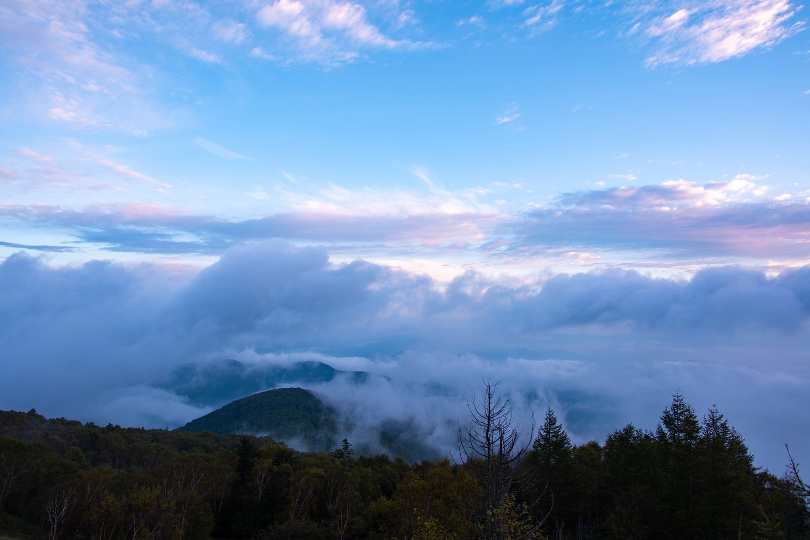「美ヶ原の夜明けの雲海」の写真