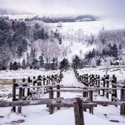 雪が積もった牛伏山山頂（美ヶ原）の写真