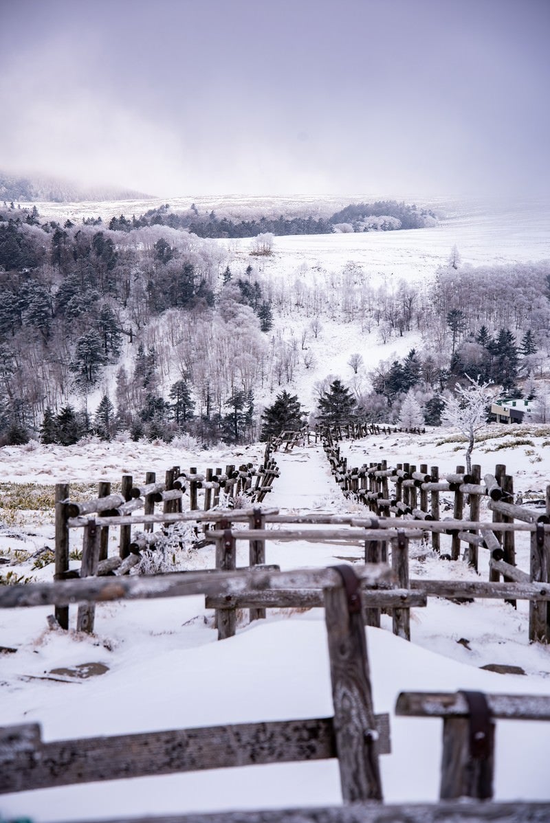 「雪が積もった牛伏山山頂（美ヶ原）」の写真
