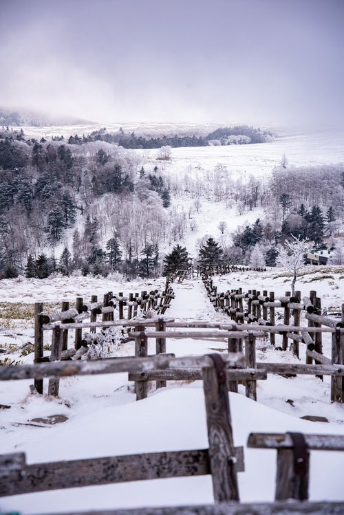 雪が積もった牛伏山山頂（美ヶ原）の写真