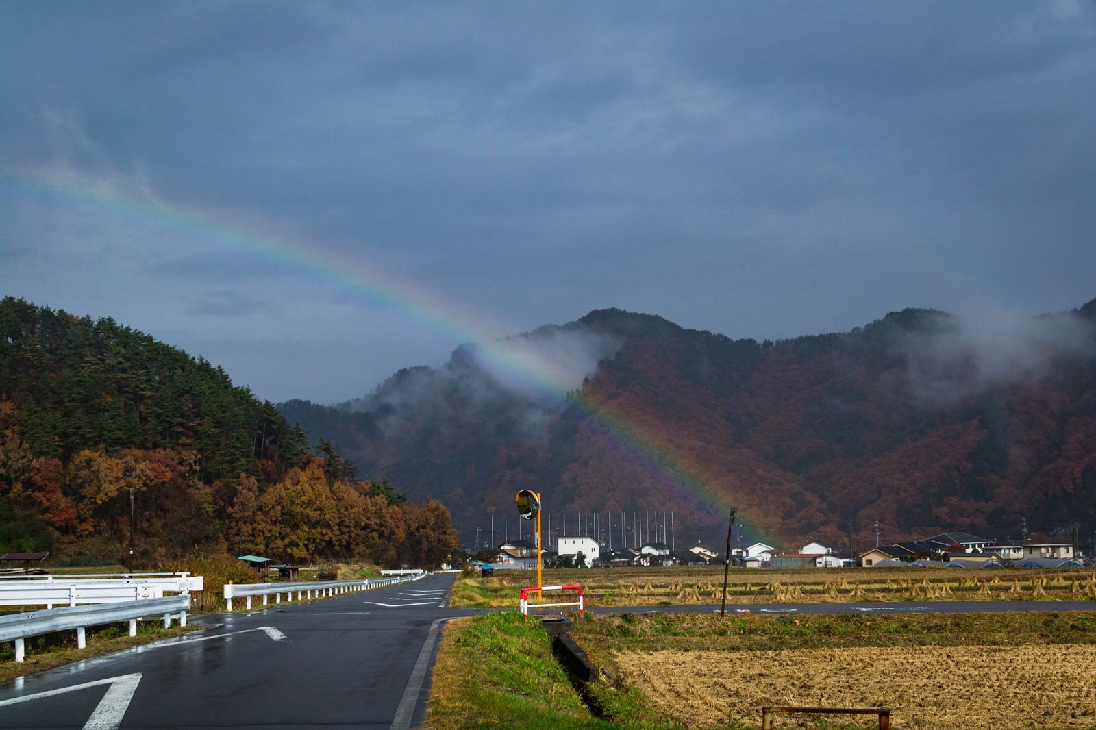 「雨上がりの田んぼと虹」の写真