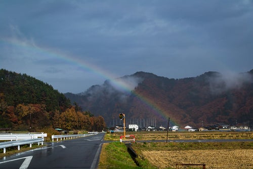 雨上がりの田んぼと虹の写真