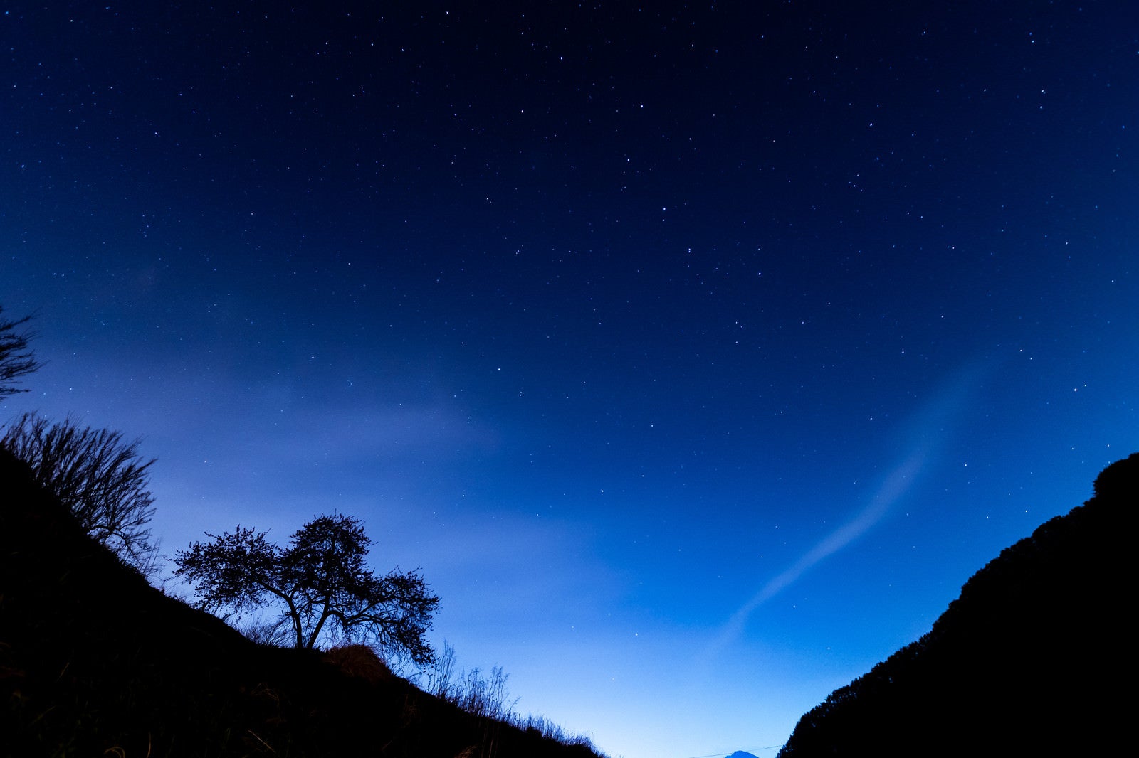 「余里の夜空と木々のシルエット」の写真