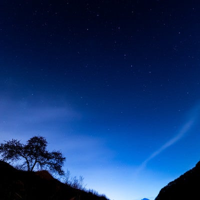 余里の夜空と木々のシルエットの写真