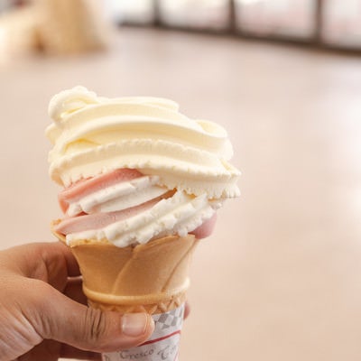武石観光センターで購入したソフトクリームの写真