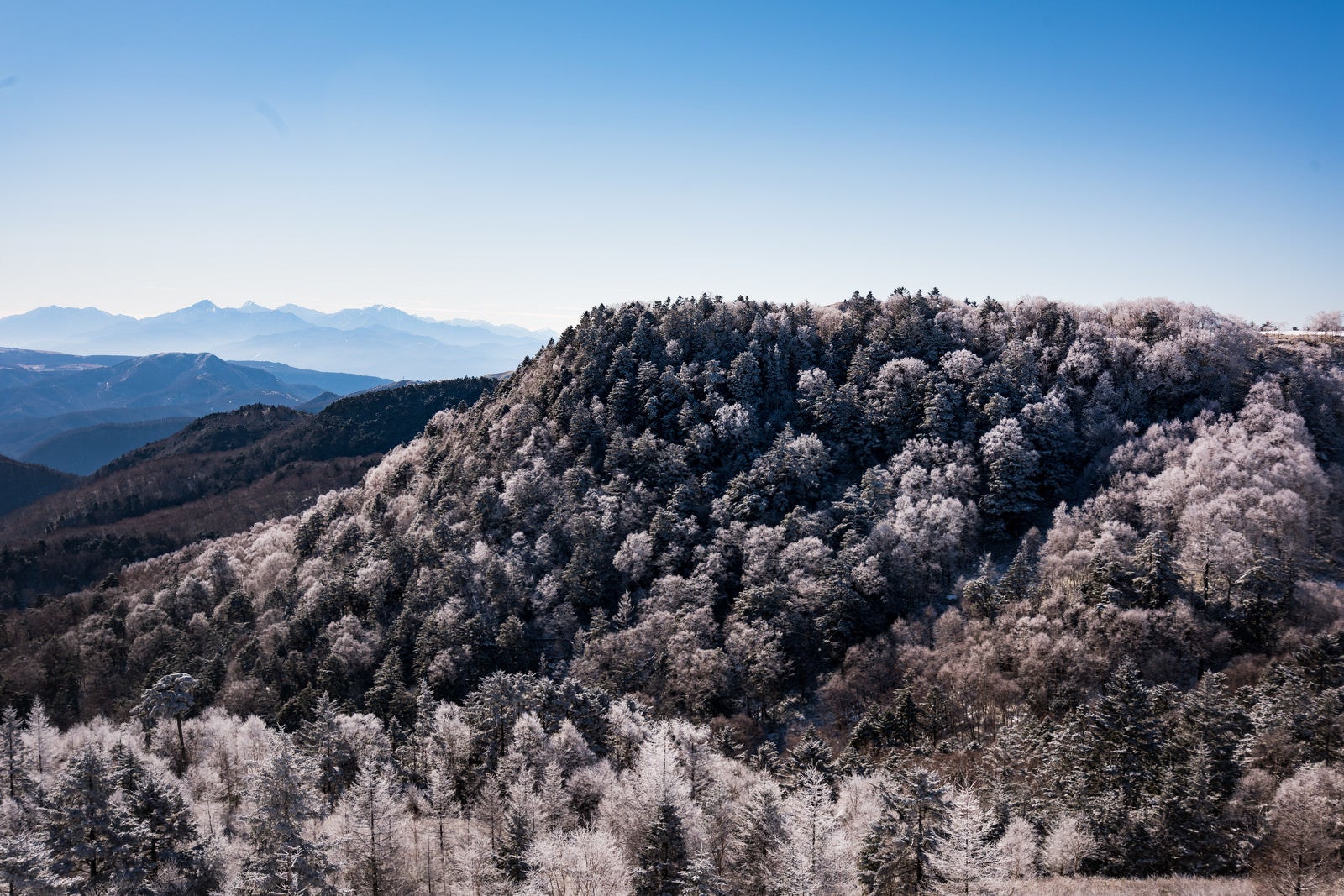 「美ヶ原から見る樹氷」の写真
