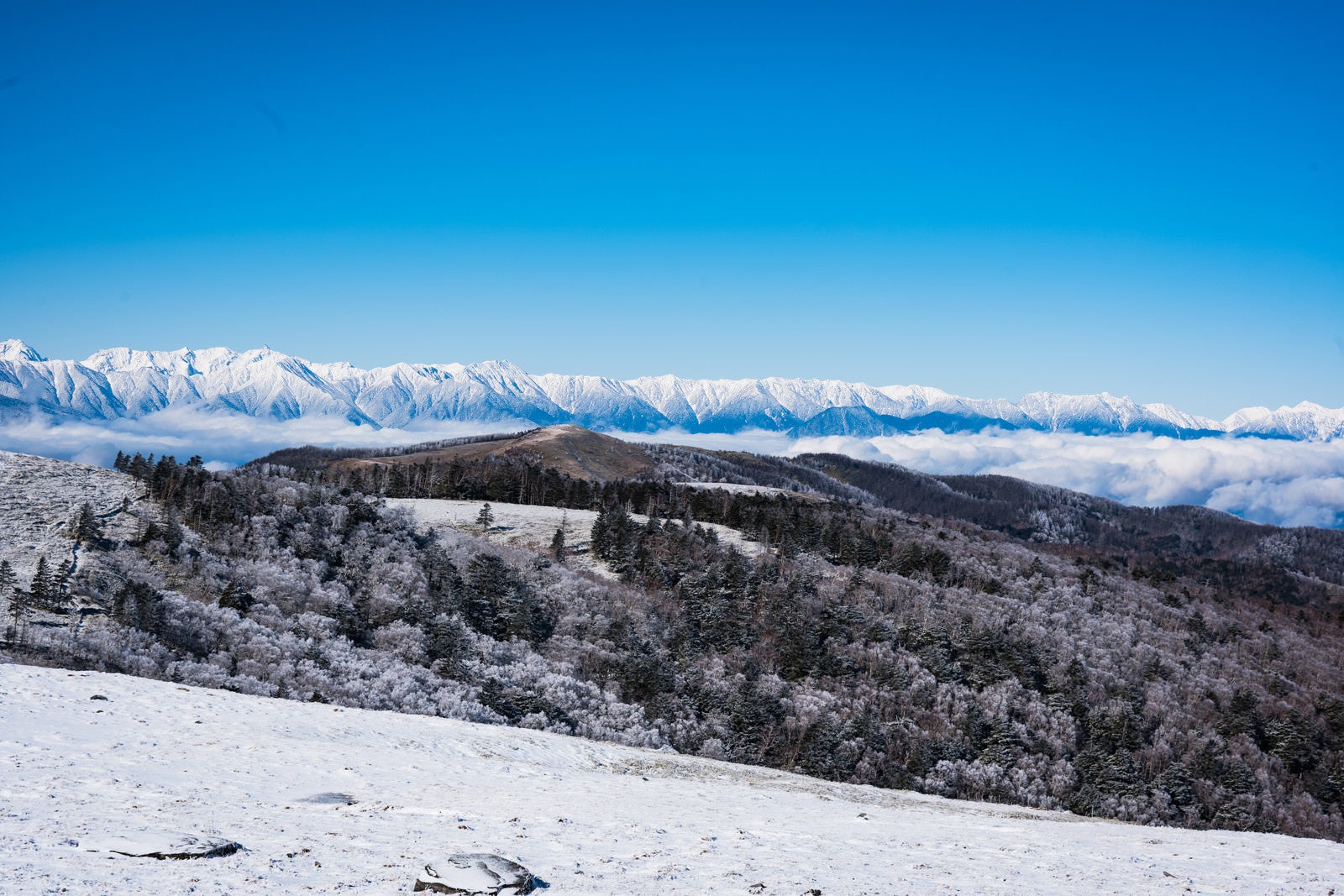 「美ヶ原台上の雪景色」の写真
