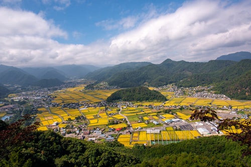 信州武石の俯瞰図と実りを向かえた田園風景の写真