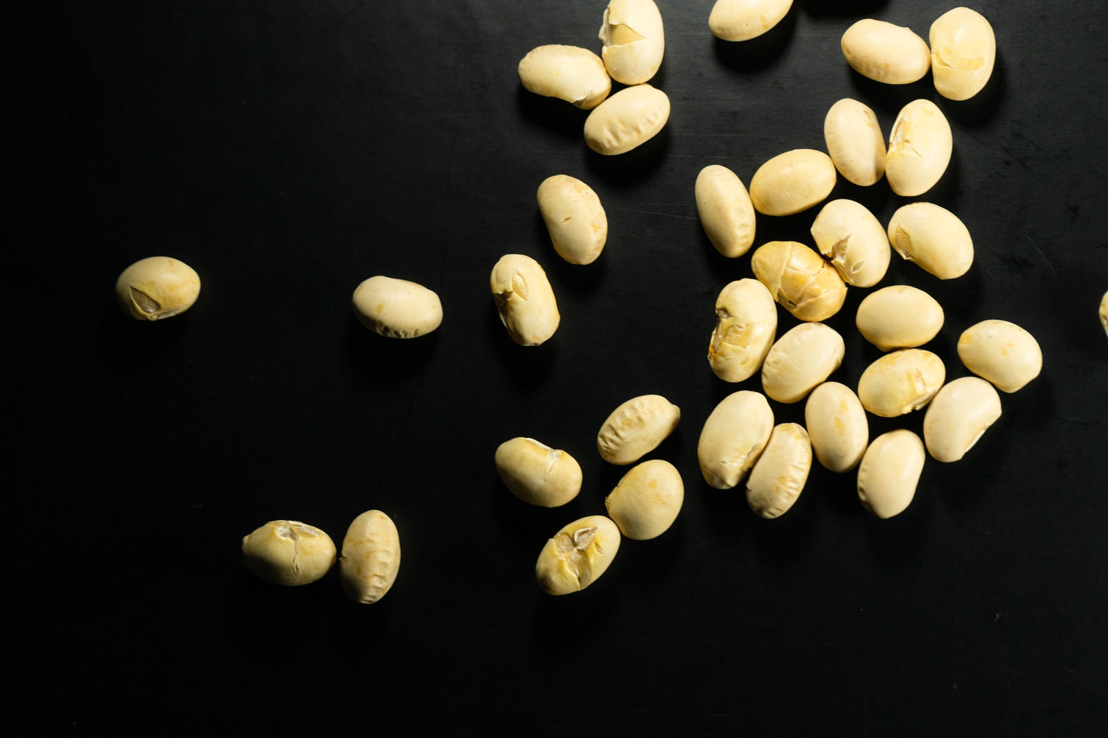 「高タンパクの大豆」の写真