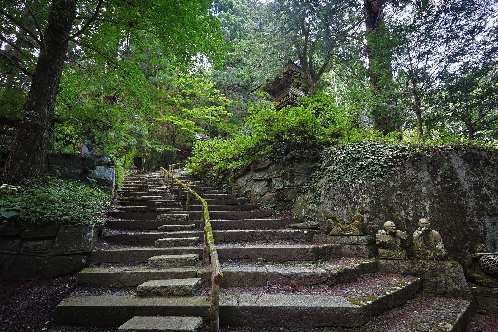 「鐘楼への石段と東堂山満福寺の境内」の写真