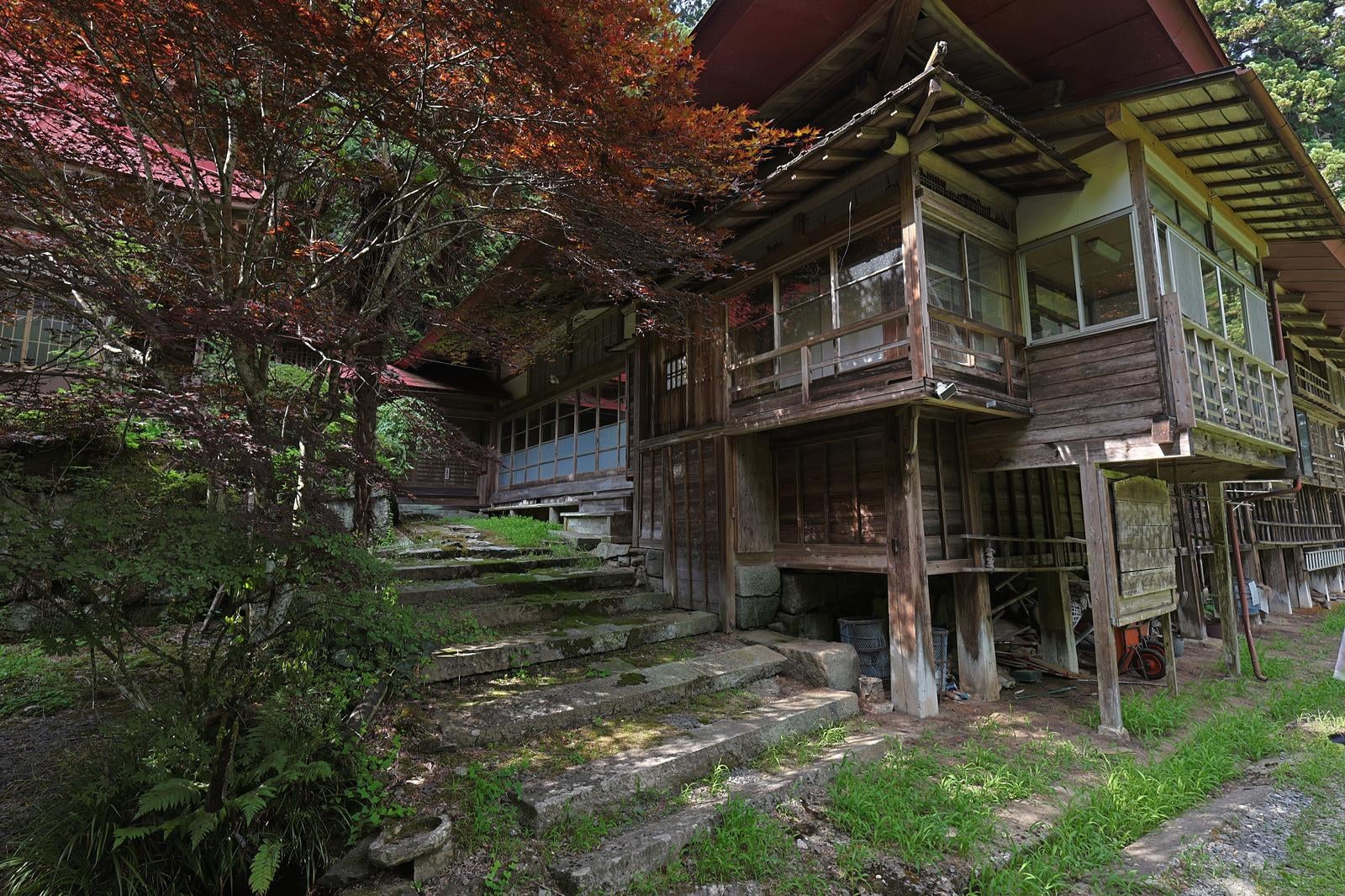 「東堂山満福寺の静寂と調和」の写真