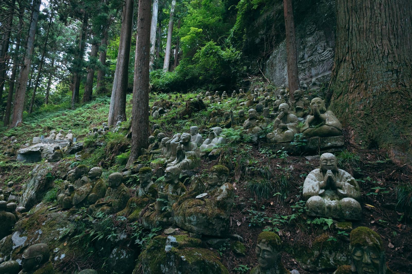 「東堂山満福寺境内のお地蔵様」の写真
