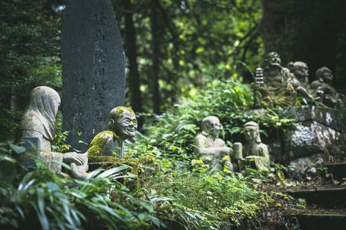 東堂山満福寺の草影から見守る石像の写真