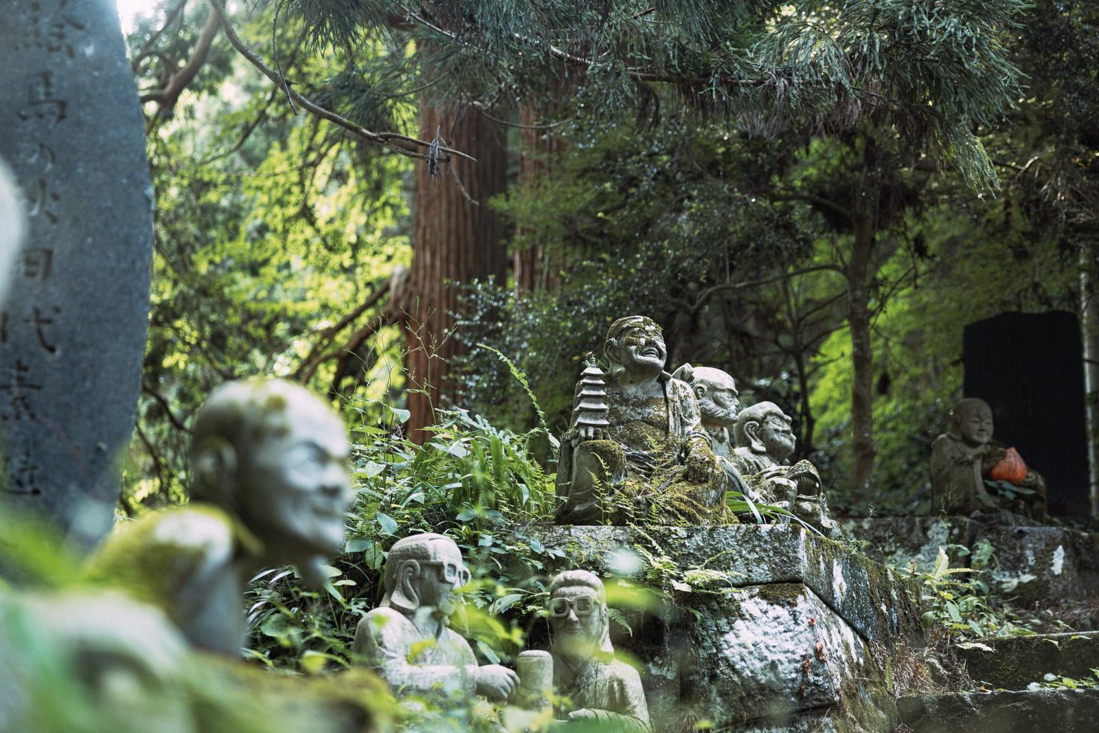 「東堂山満福寺の静かな語りと境内の守り神」の写真