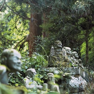 東堂山満福寺の静かな語りと境内の守り神の写真