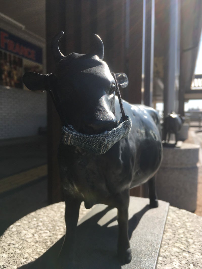 「マスクを着けた松坂駅の牛の像」の写真