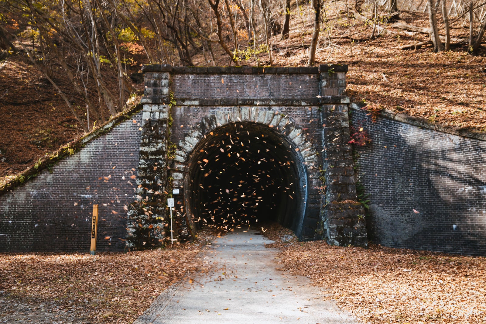 「第六号トンネル」の写真