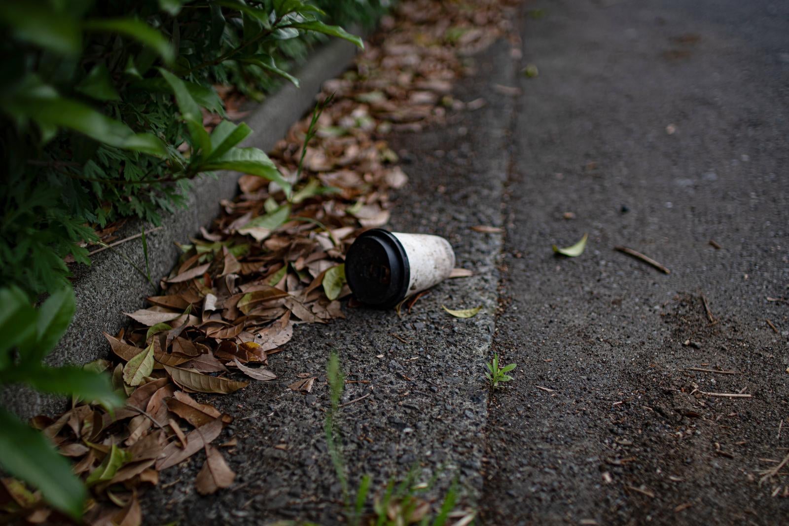 「落ち葉が積もる歩道に無造作に捨てられている紙コップ」の写真