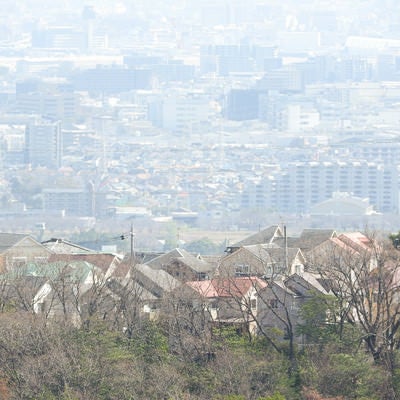 丘から見下ろす街の写真