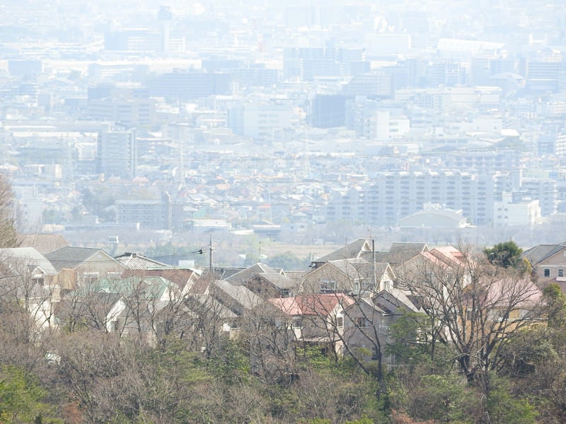 丘から見下ろす街の写真