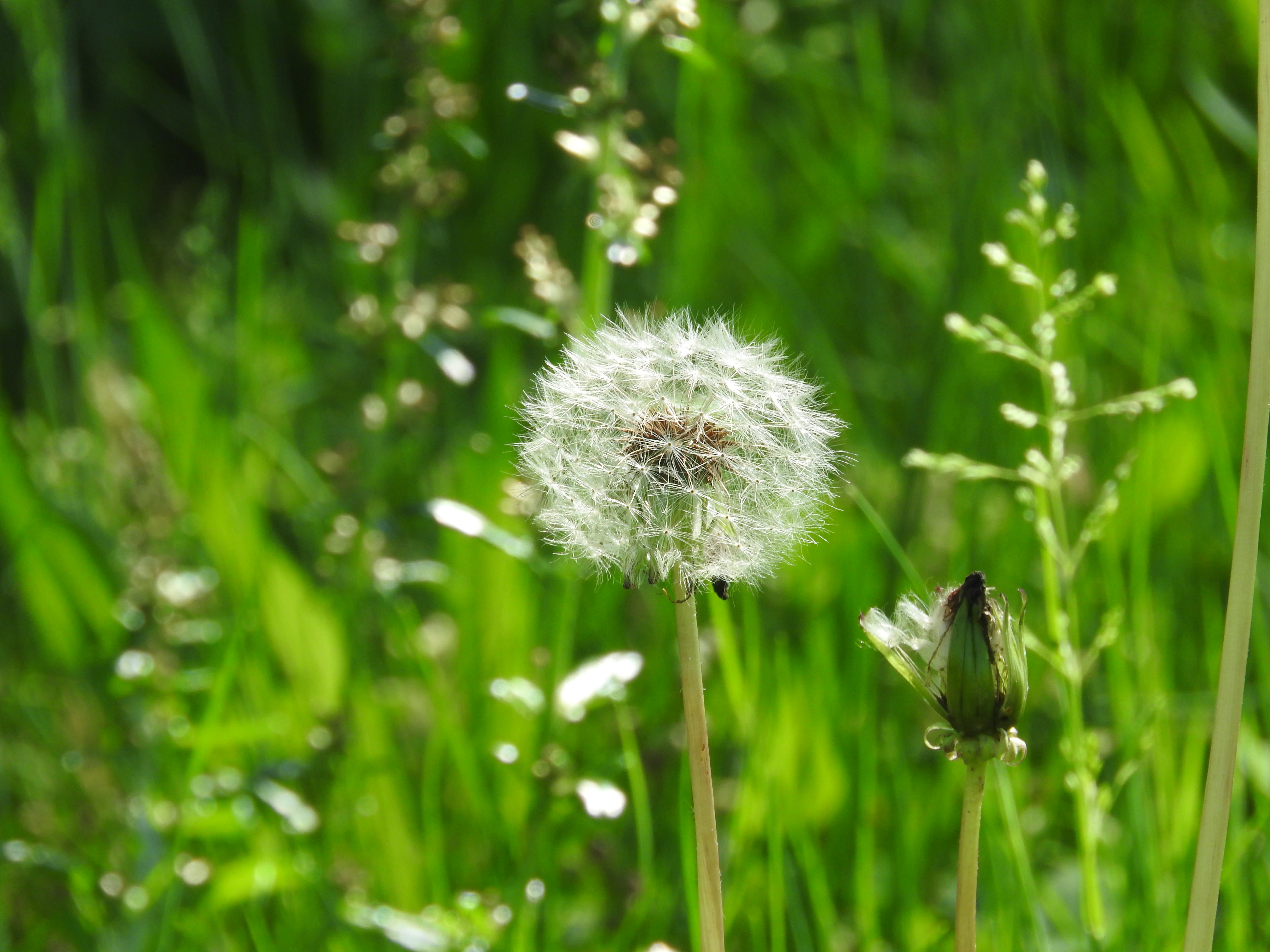 mitte602001.jpg?&download=1