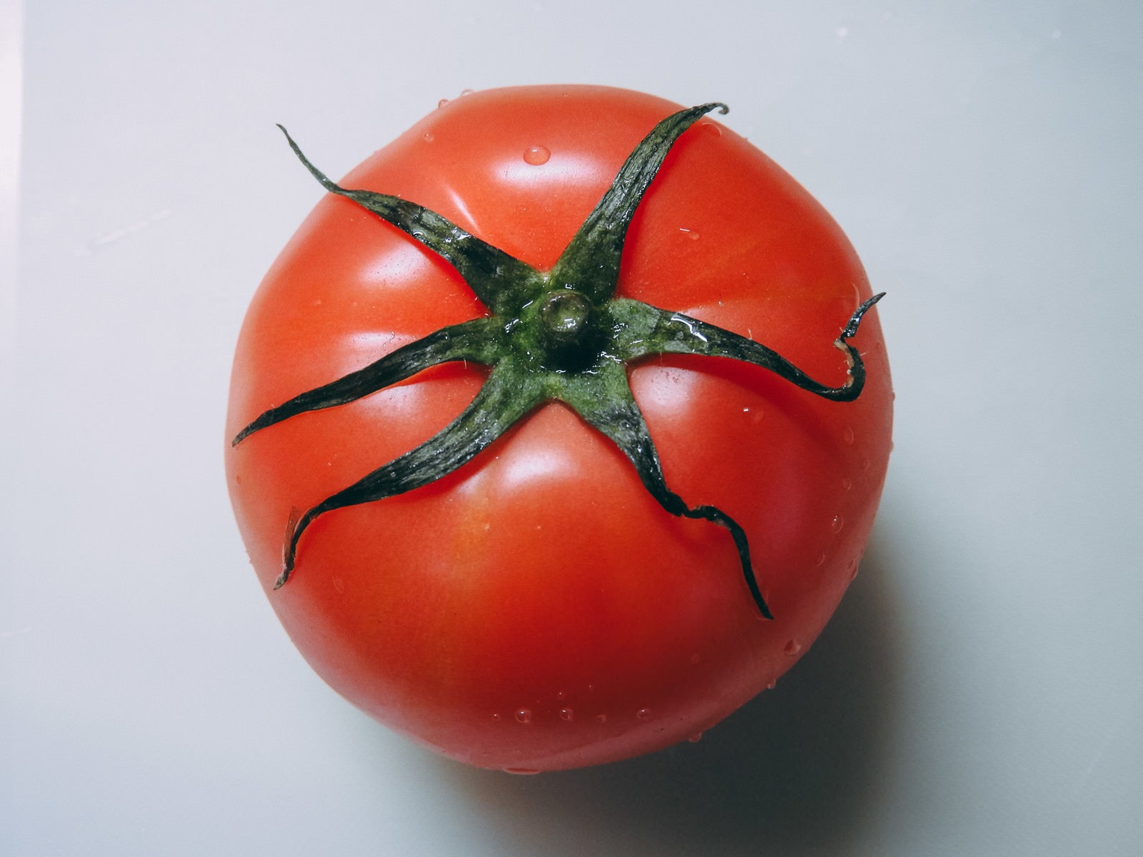 「ヘタがしおれたトマト」の写真