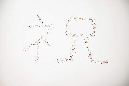 小さい種で作った「祝」の文字の写真
