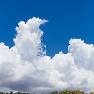 砂浜から見上げた積乱雲の写真