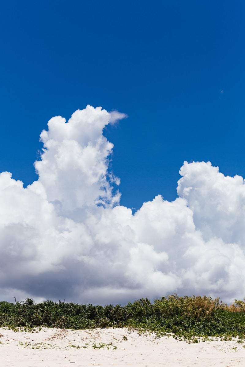 「砂浜から見上げた積乱雲」の写真