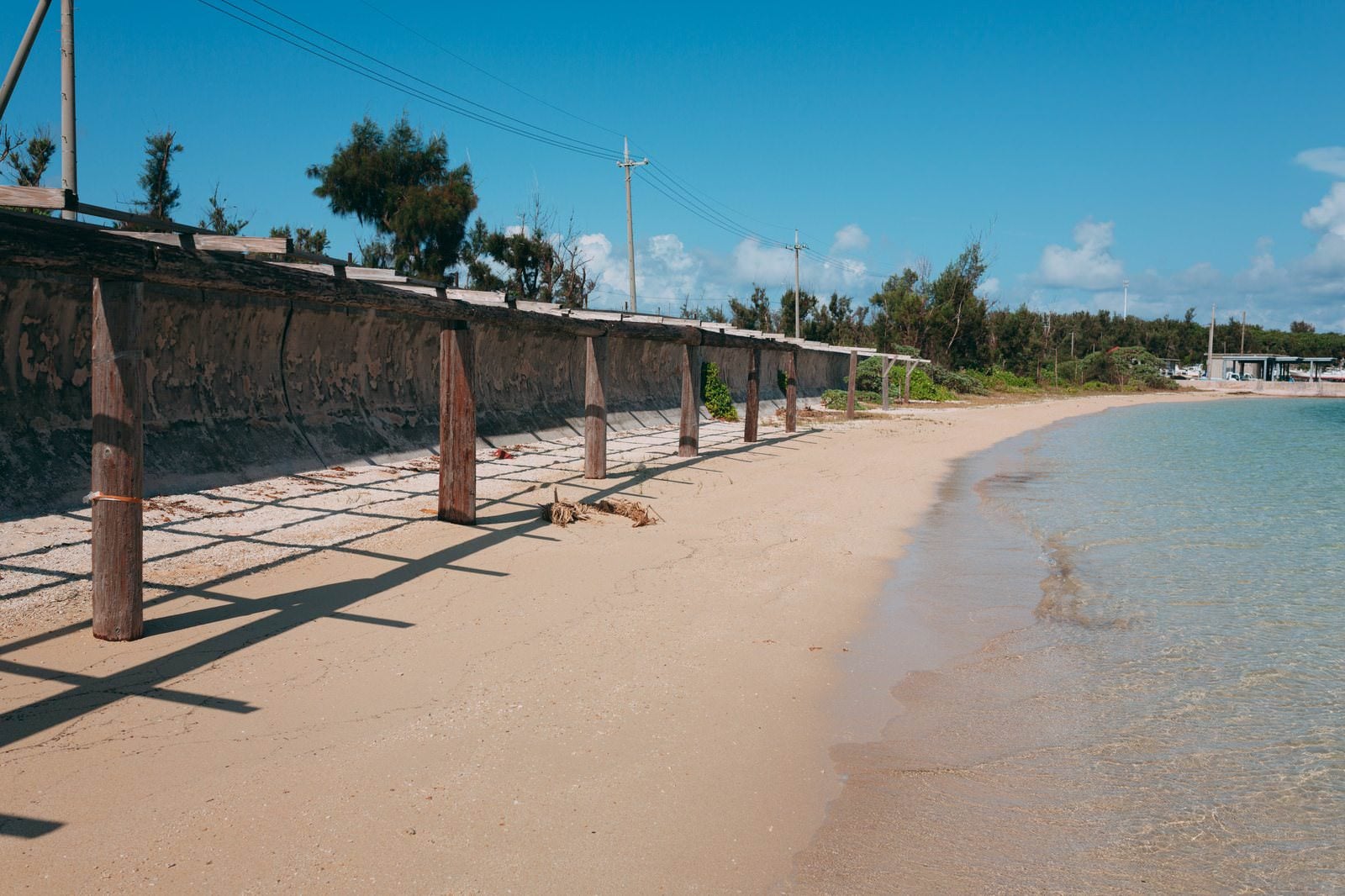 「宮古島の砂浜に並ぶ立木」の写真